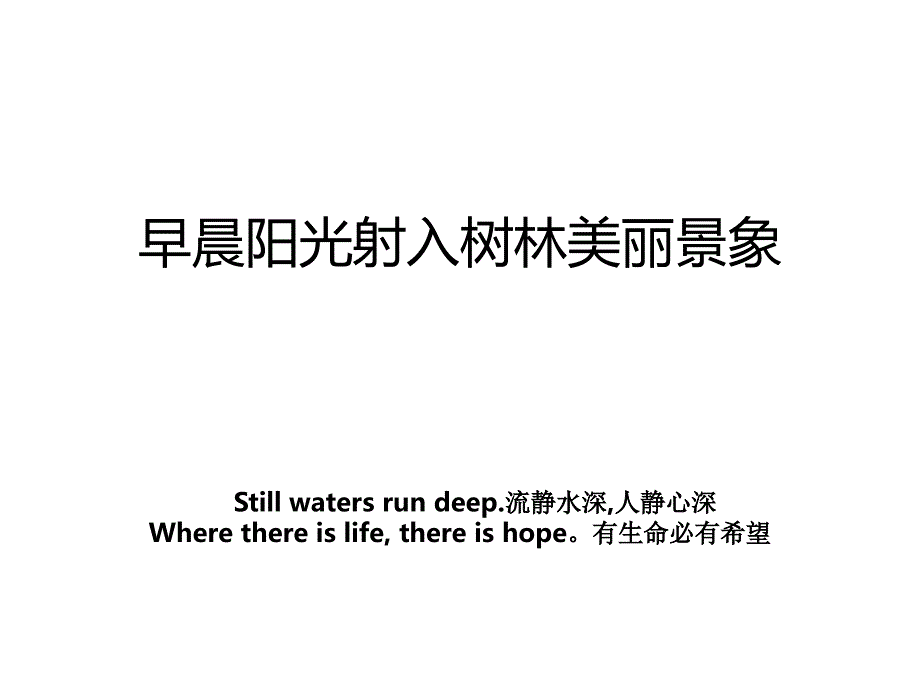 早晨阳光射入树林美丽景象_第1页