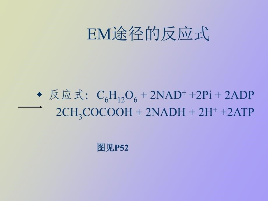 微生物营养和代谢_第5页