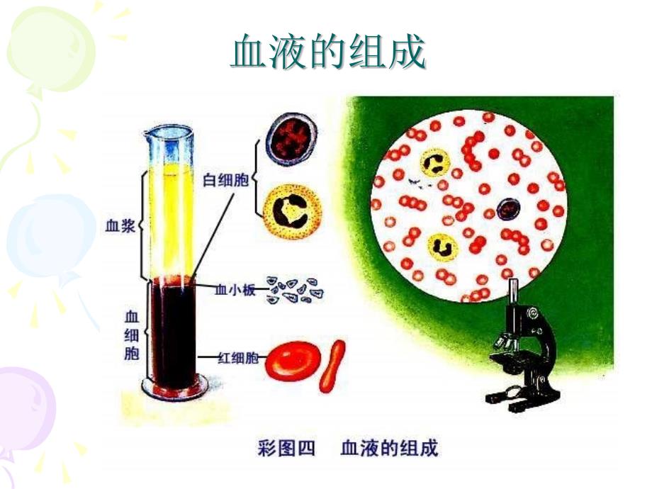 人体：流动的血液_第3页