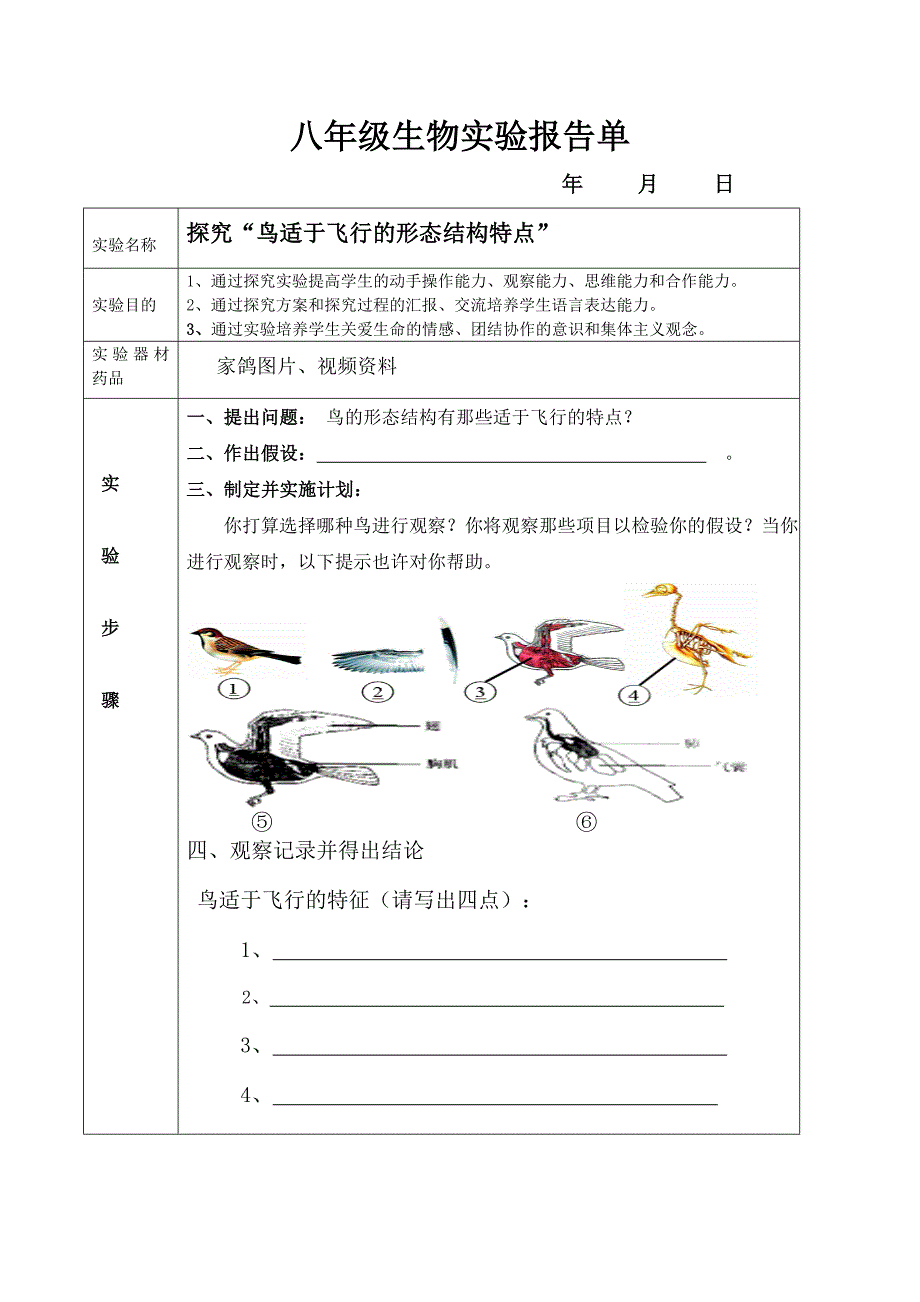 人教版八年级（上）实验（教育精品）_第3页