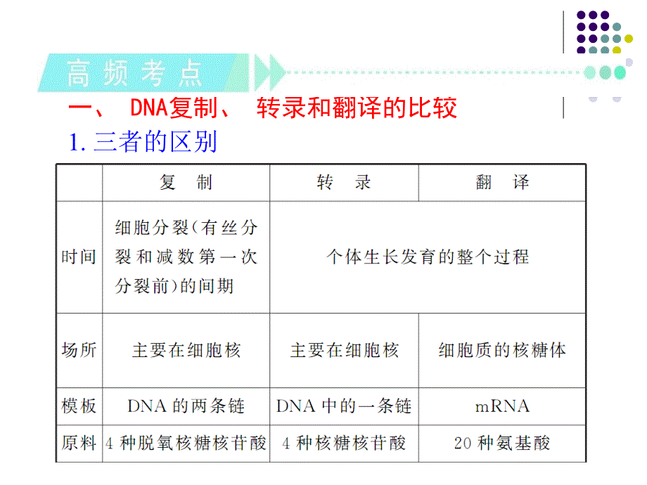 高考生物第一轮高频考点复习课件：第7讲基因指导蛋白质的合成(共38张PPT)_第3页