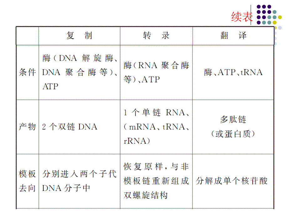 高考生物第一轮高频考点复习课件：第7讲基因指导蛋白质的合成(共38张PPT)_第4页