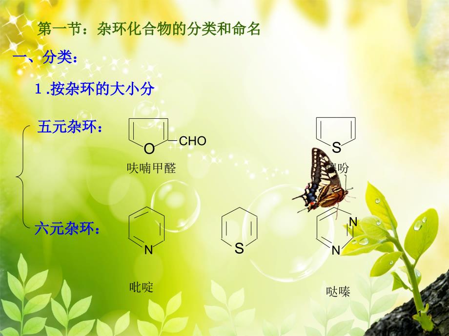 杂环化合物的分类和命名_第1页