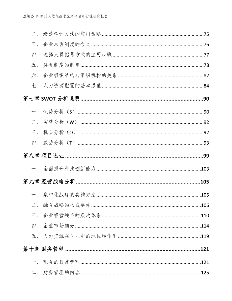 徐州天然气技术应用项目可行性研究报告_范文模板_第4页