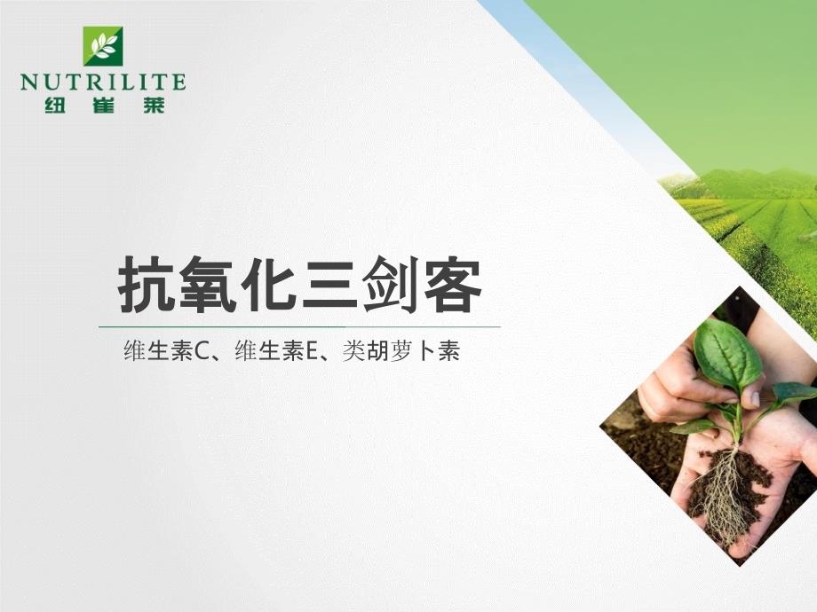 营养基础班-抗氧化三剑客_第1页