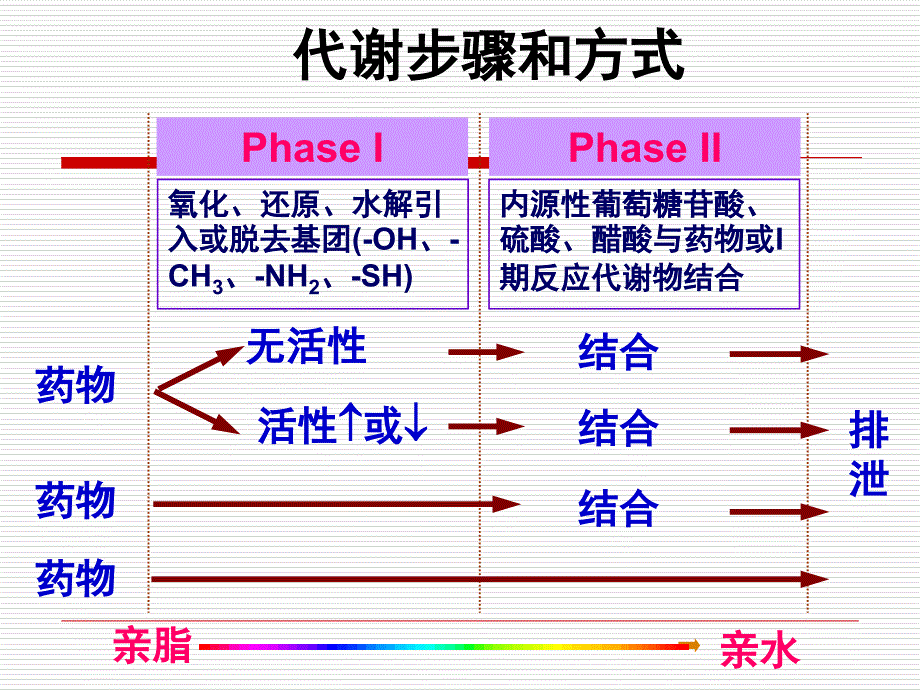 药物化学第四章药物代谢反应2_第4页