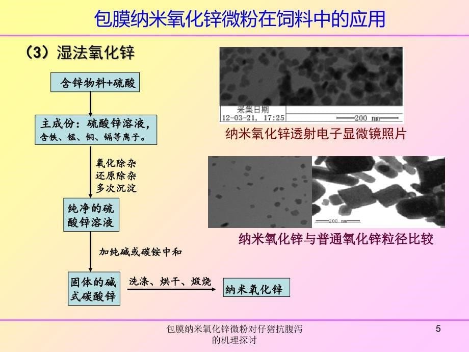 包膜纳米氧化锌微粉对仔猪抗腹泻的机理探讨课件_第5页