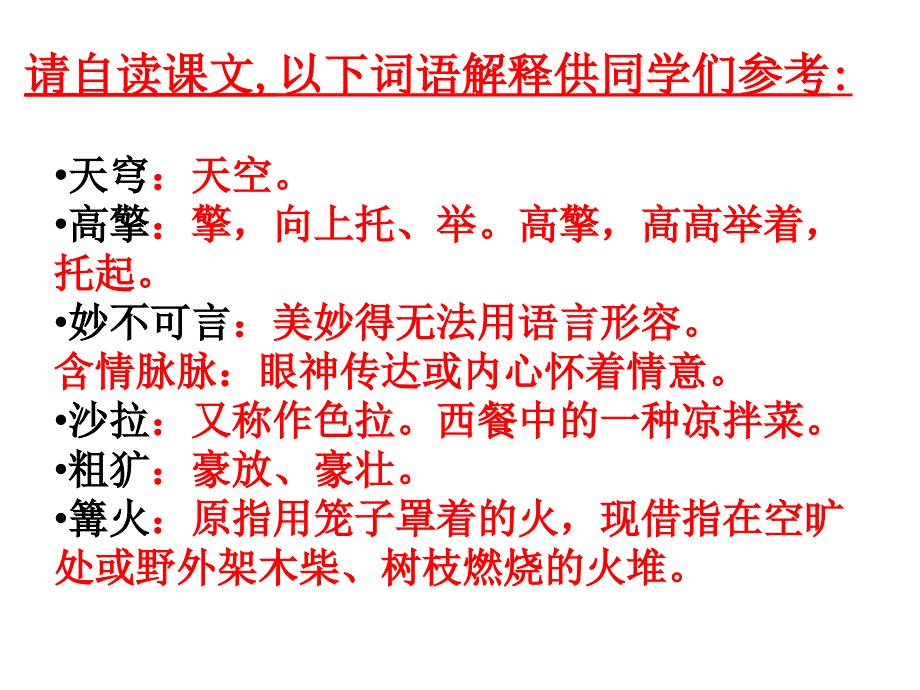 28《彩色的非洲》_第3页