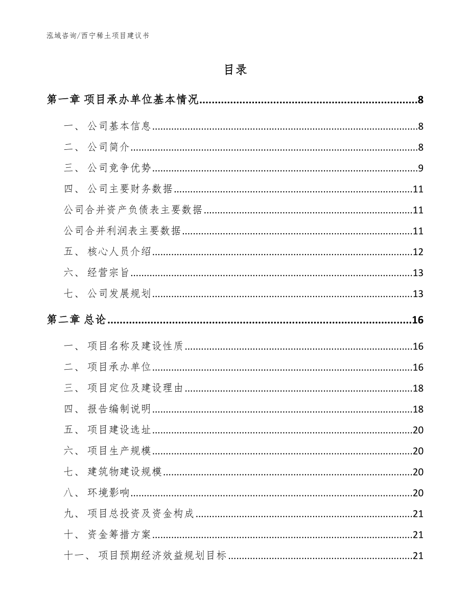 西宁稀土项目建议书【模板参考】_第2页
