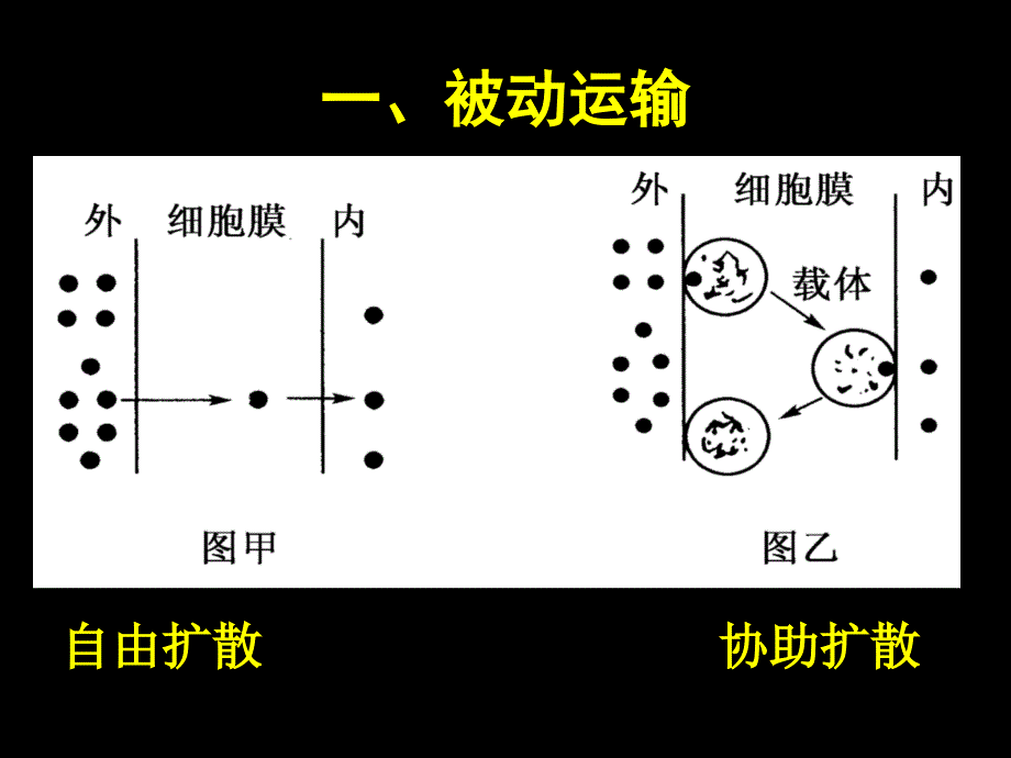 第3节物质跨膜运输的方式新2_第2页