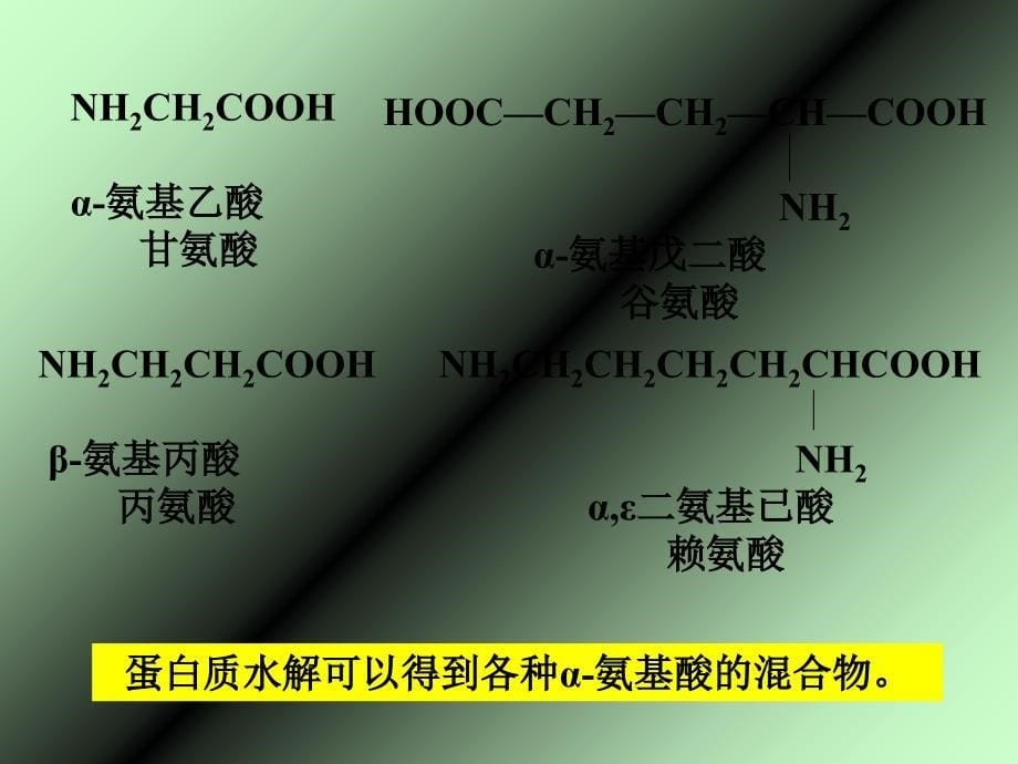 氨基酸、蛋白质、核酸_第5页