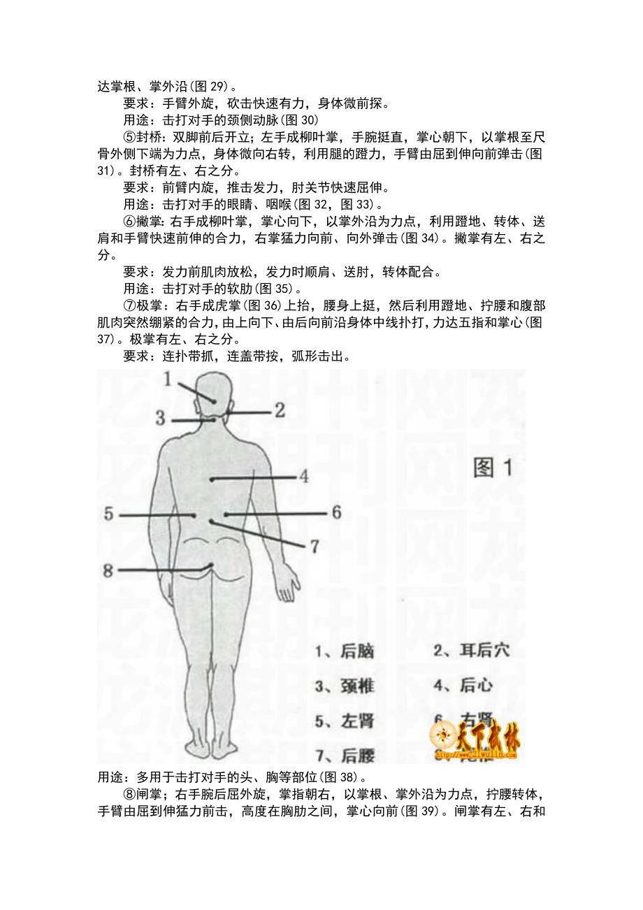 西江白眉拳之实战应用_第3页