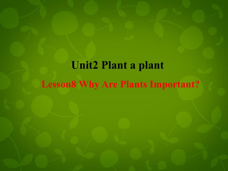 冀教初中英语八下《Lesson 8 Why Are Plants Important》PPT课件 (2)_第1页