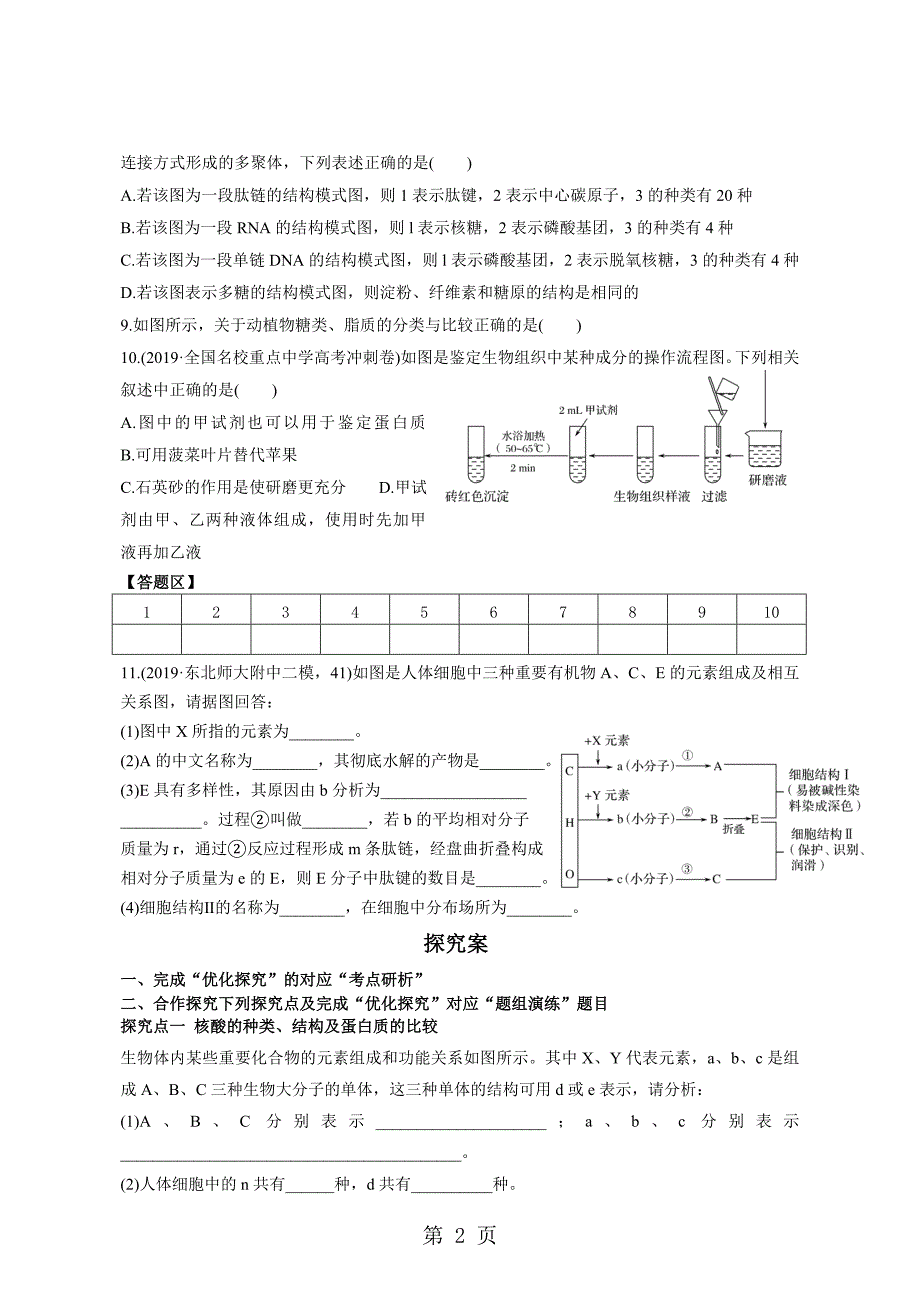 2023年广东省惠州市惠阳一中实验学校高三第一轮课题第一单元第讲　核酸糖类和脂质导学案无答案.doc_第2页