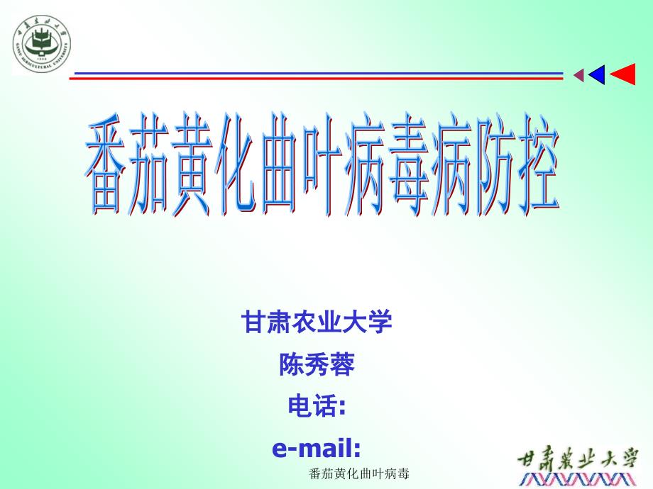 番茄黄化曲叶病毒课件_第1页