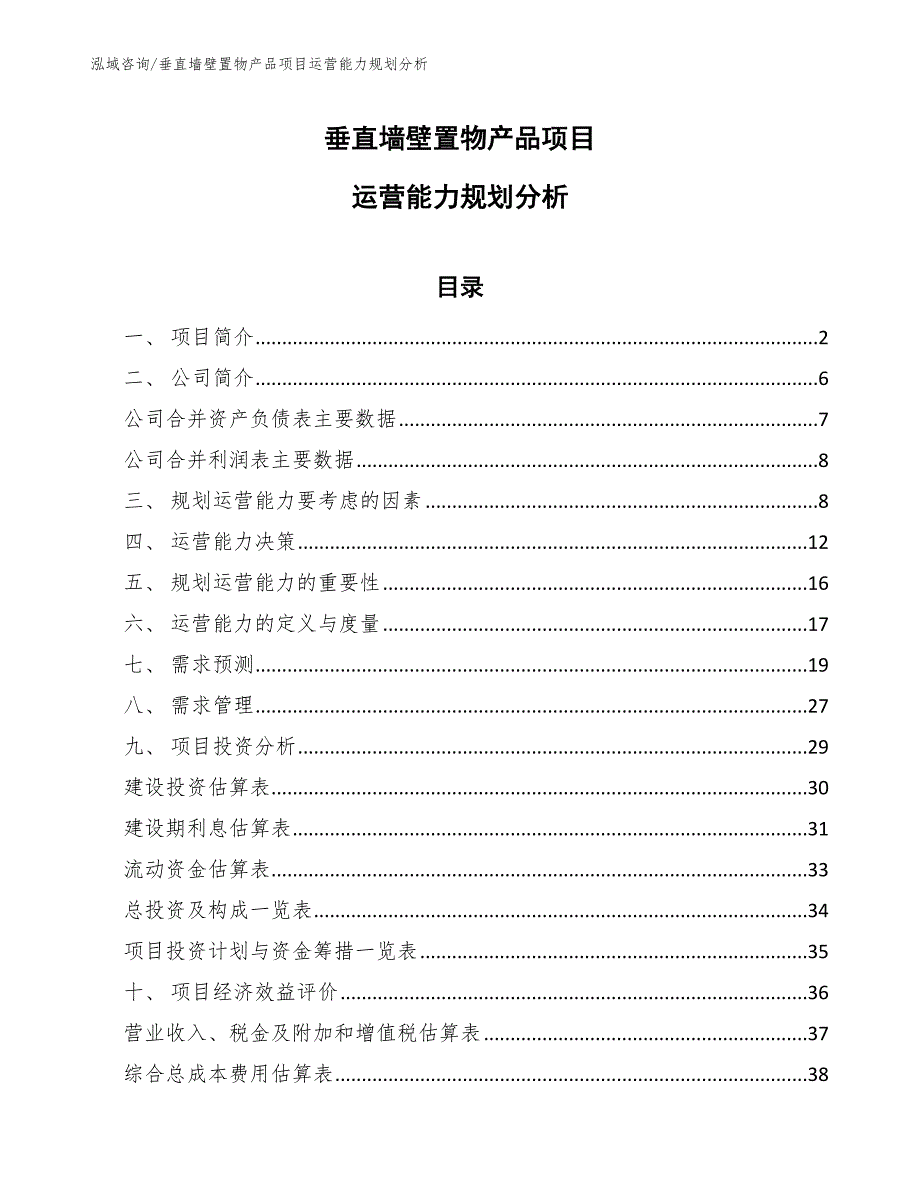 垂直墙壁置物产品项目运营能力规划分析_第1页