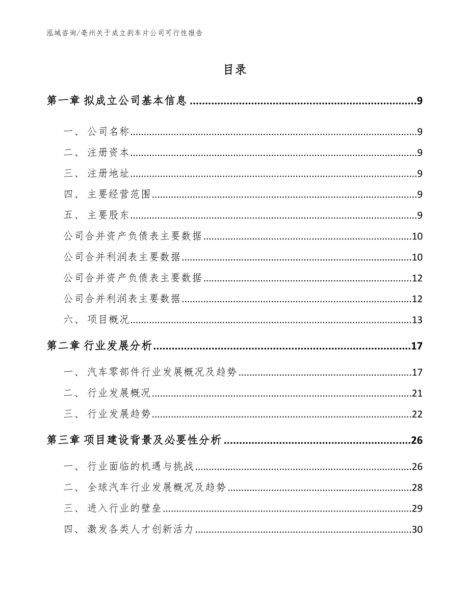 亳州关于成立刹车片公司可行性报告_范文_第2页