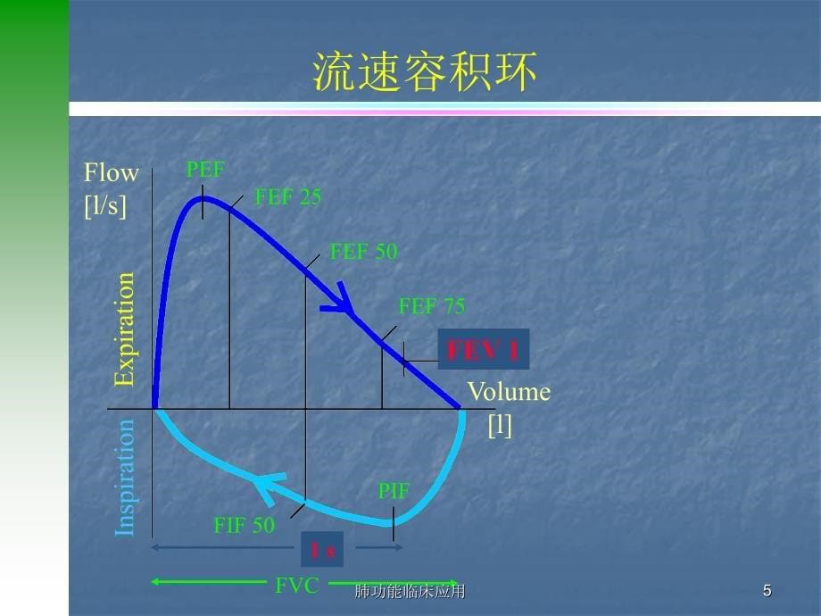 肺功能临床应用课件_第5页