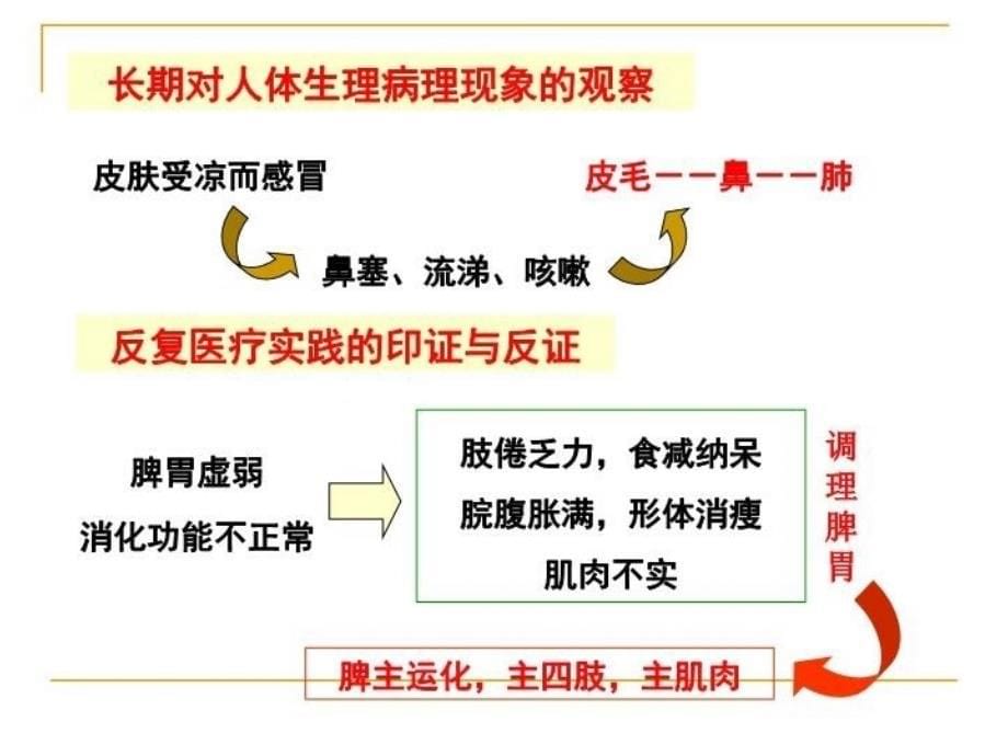 中医学藏象学说上课讲义_第5页