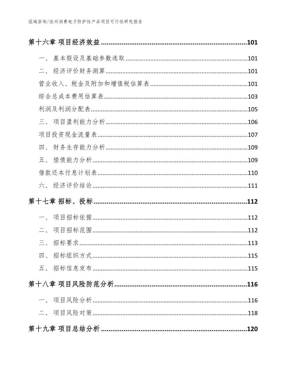 沧州消费电子防护性产品项目可行性研究报告_参考范文_第5页