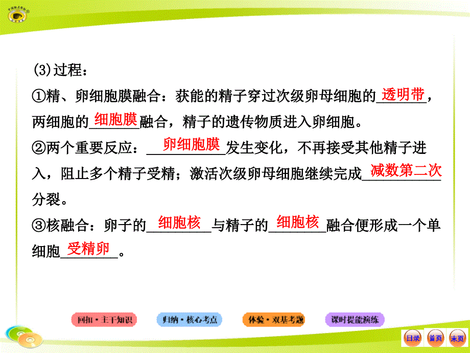 高中生物全程复习方略配套课件选修3.3胚胎工程_第3页