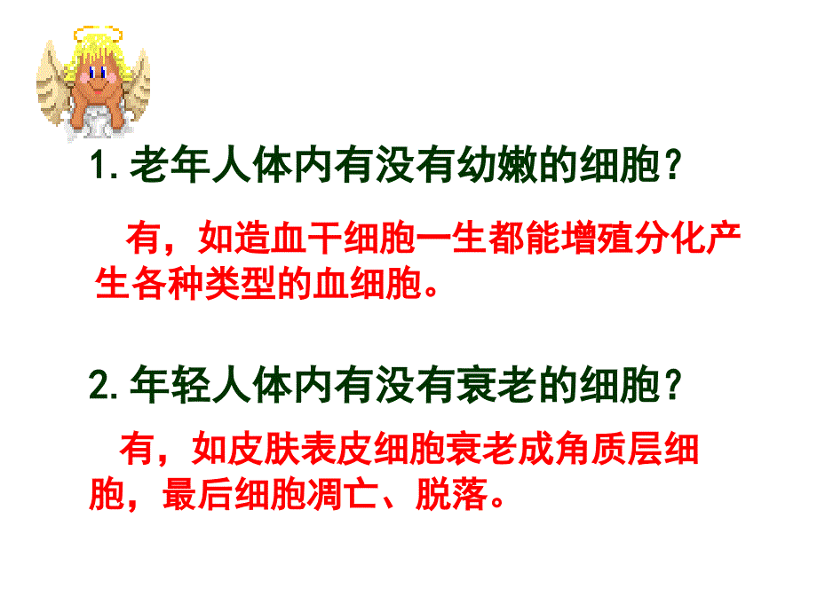 《细胞的衰老和凋亡》PPT课件_第3页