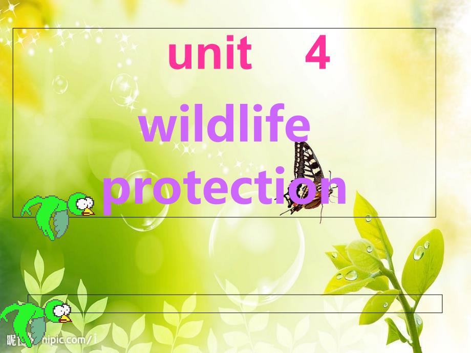 人教版高中英语必修二Unit4WildlifeprotectionReading课件4_第1页