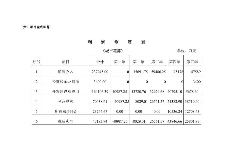 某某房地产项目投资价值分析_第5页