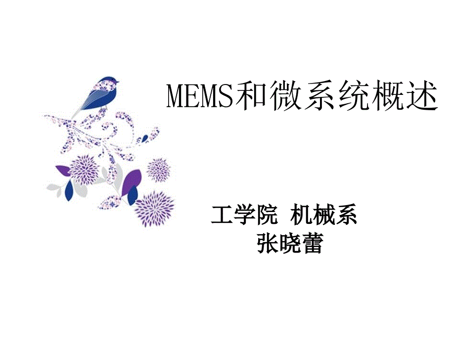 MEMS和微系统概述_第1页