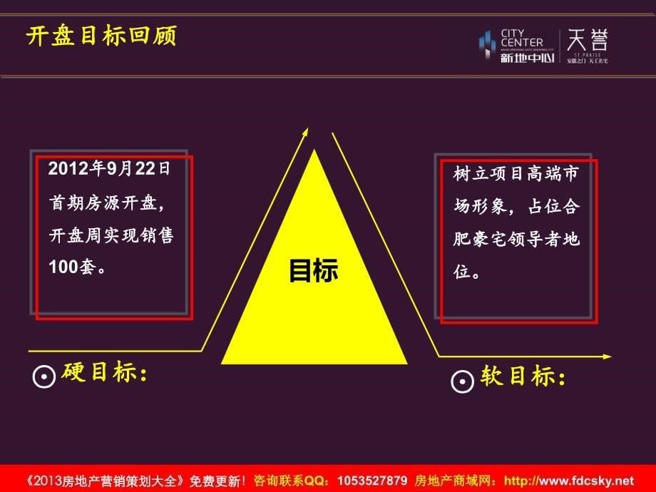 中原合肥新地中心天誉10营销策略及执行计划_第5页