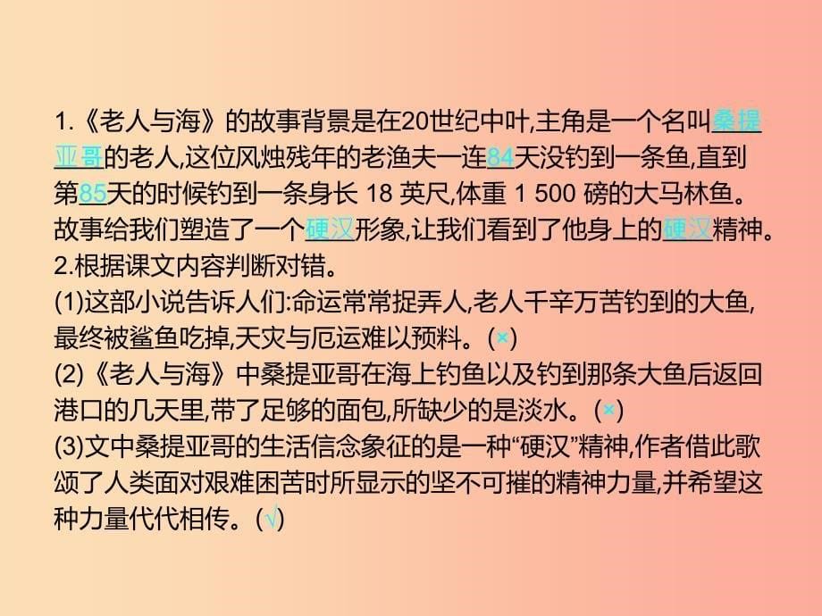 六年级语文上册 第六单元 29老人与海习题课件 语文S版.ppt_第5页