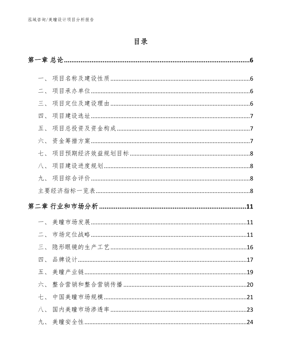 美瞳设计项目分析报告【模板】_第2页