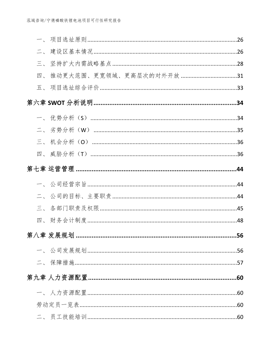 宁德磷酸铁锂电池项目可行性研究报告范文参考_第4页