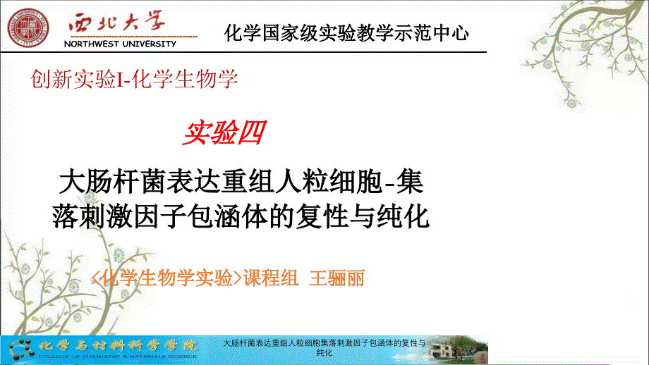 大肠杆菌表达重组人粒细胞集落刺激因子包涵体的复性与纯化课件_第1页