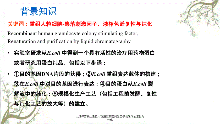 大肠杆菌表达重组人粒细胞集落刺激因子包涵体的复性与纯化课件_第4页