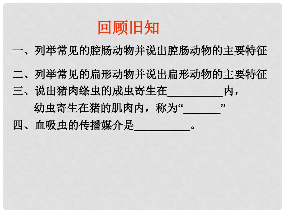 河北省石家庄创新国际学校七年级生物上册 第1单元 第4章 第3节 线形动物和环节动物课件 冀教版_第1页