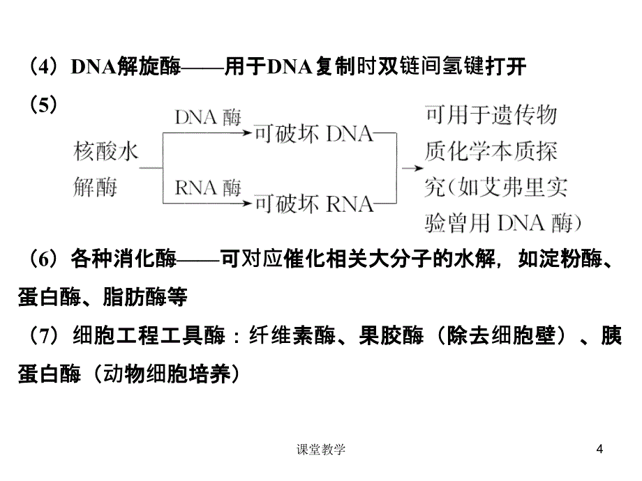 酶与ATP二轮复习课时讲课_第4页