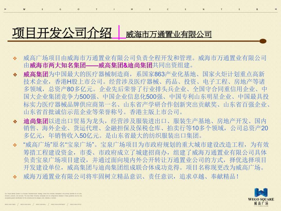 山东省威高广场项目招商手册31页_第4页