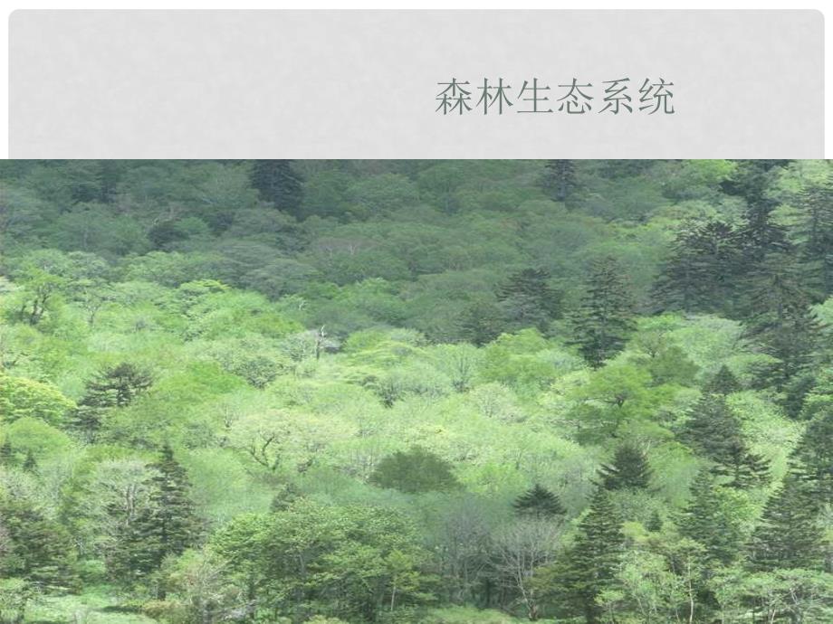 广东省梅州市五华县城镇中学高二生物《生物圈是最大的生态系统》课件 新人教版_第2页