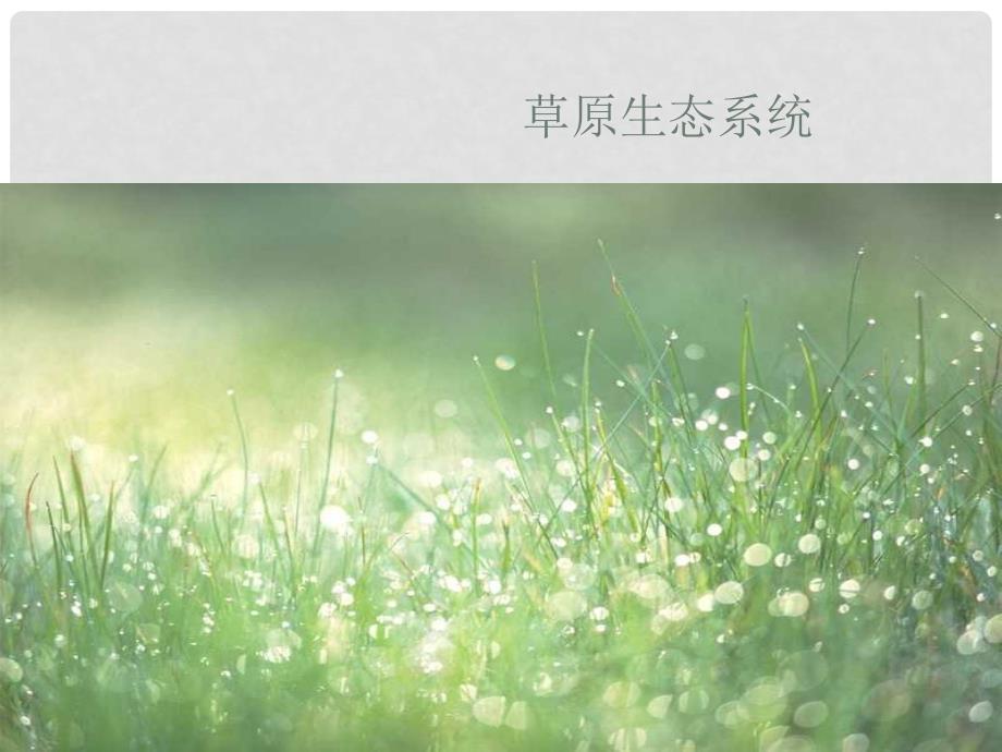 广东省梅州市五华县城镇中学高二生物《生物圈是最大的生态系统》课件 新人教版_第4页