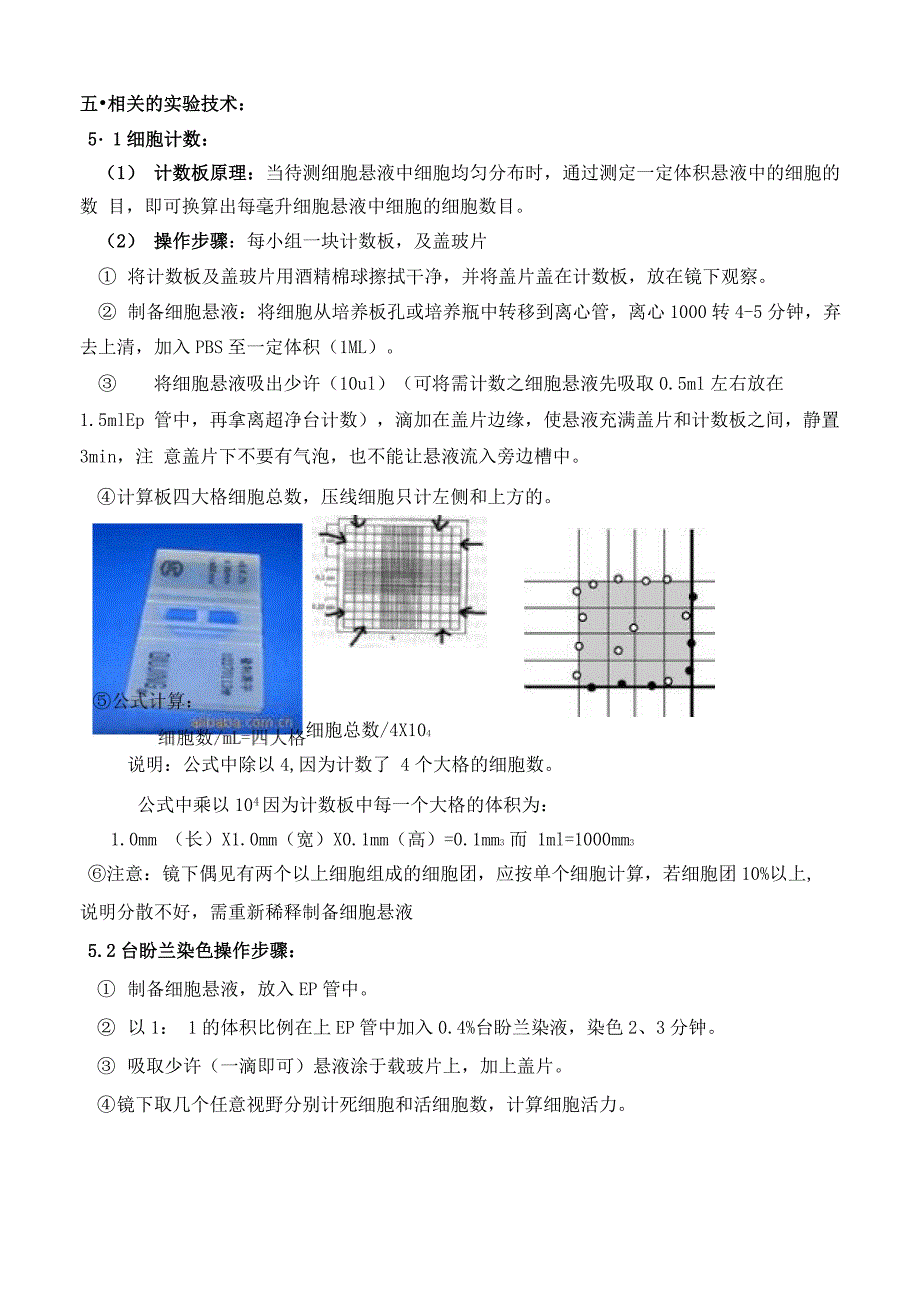 悬浮细胞培养技术讲义_第4页