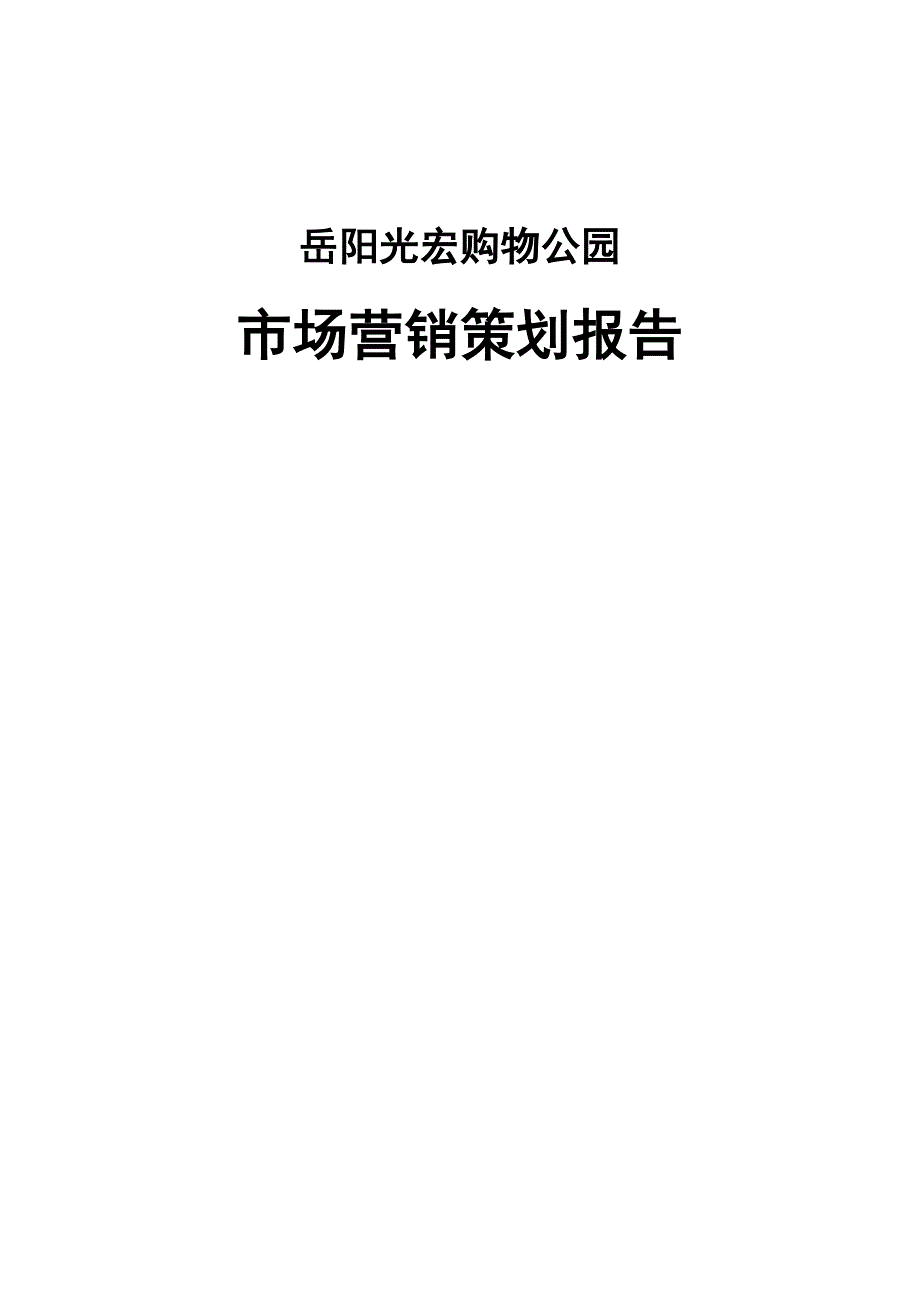 岳阳光宏购物公园营销策划报告.doc_第1页