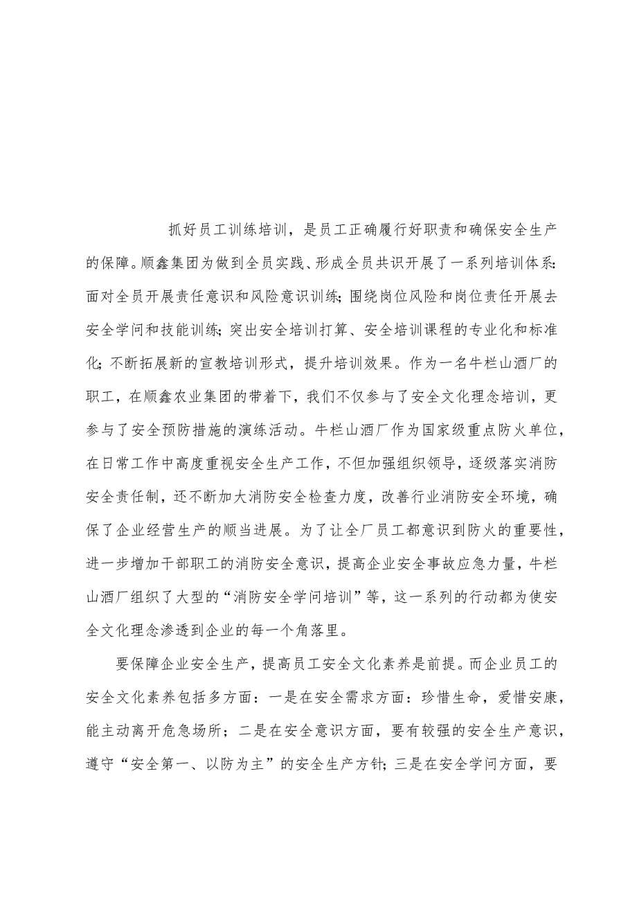 对于安全文化理念培训后的感悟.docx_第5页