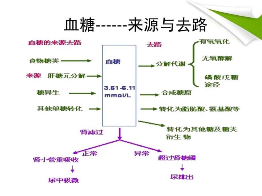 调节血糖的功能食品.ppt_第4页