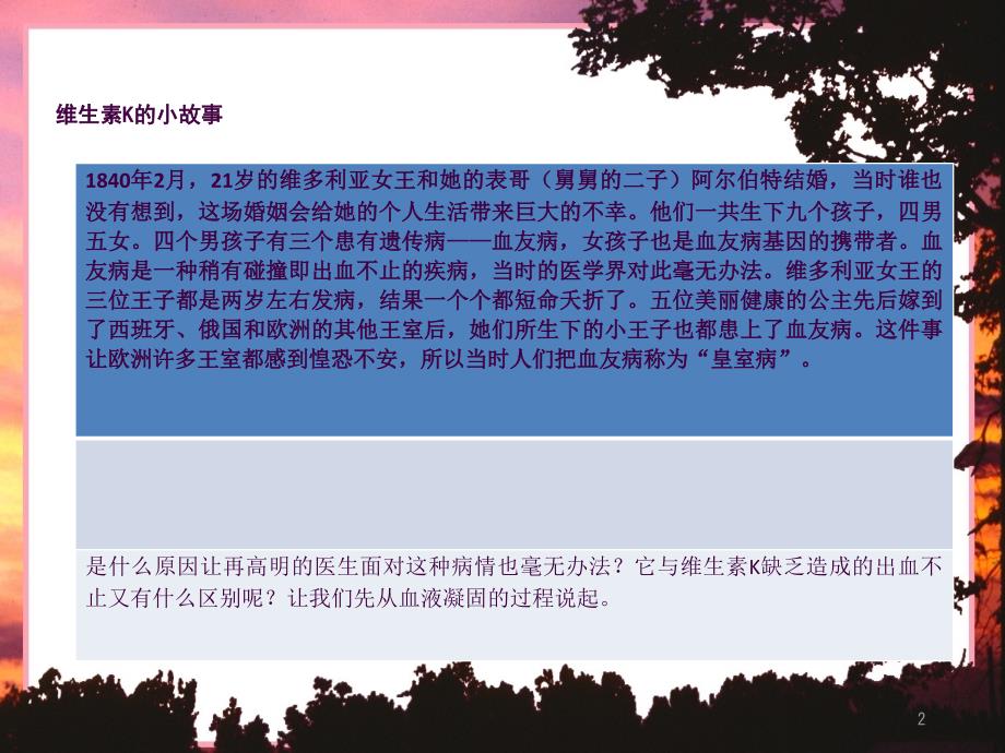 维生素Kppt课件_第2页