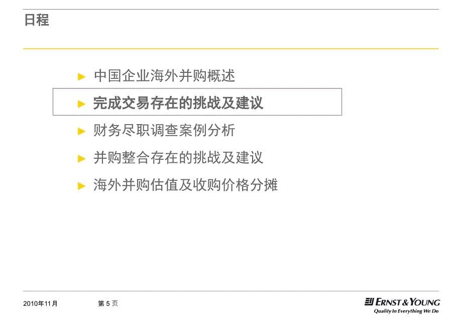 安永中国企业海外投资财务风险管理_第5页