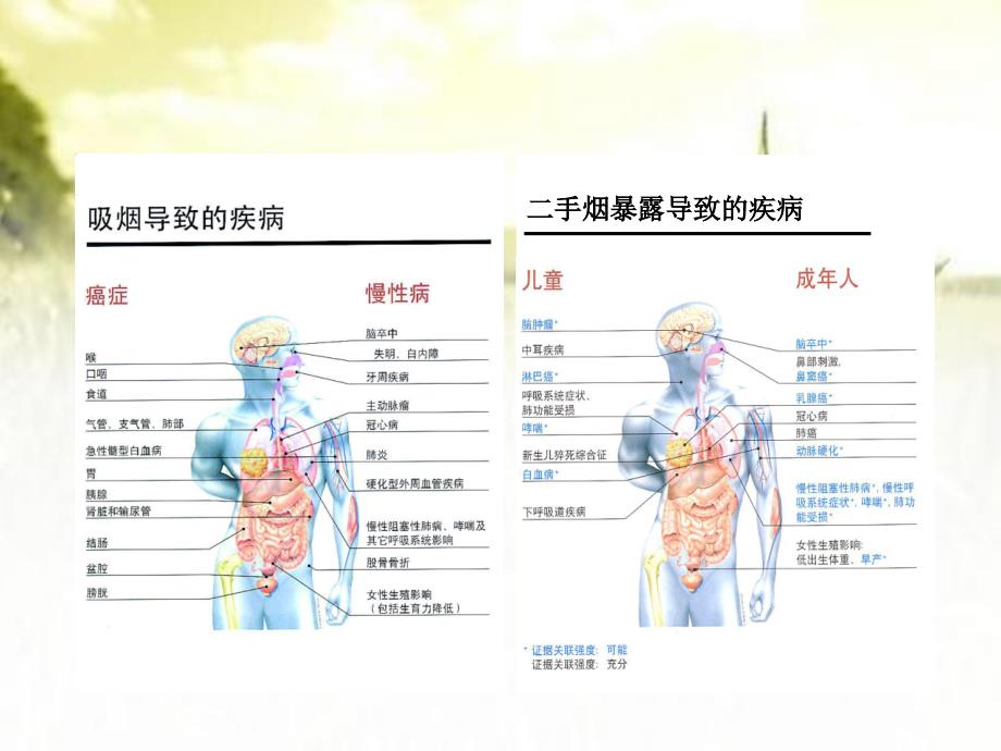 控烟知识暨医院健康教育方法课件_第4页