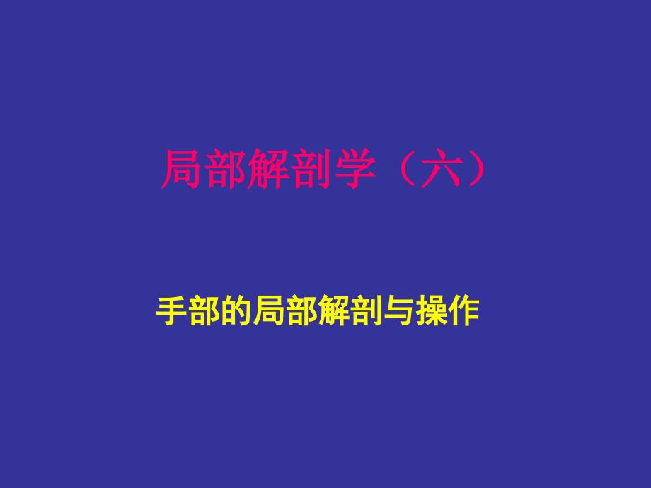 手部的局部解剖与操作人体局解剖学课件06_第1页