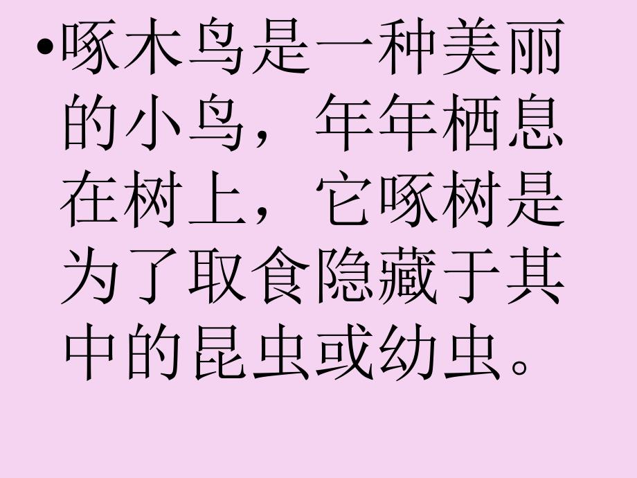 一年级上语文啄木鸟3沪教版共15张ppt课件_第4页