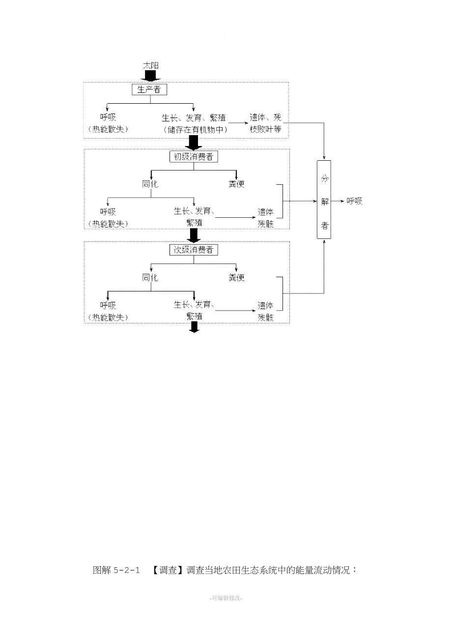 图解生态系统及其稳定性知识系统.doc_第3页